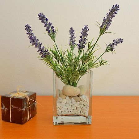 Andjelko Apartman Zára Kültér fotó